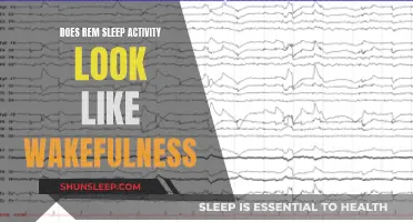 REM Sleep Activity: Brain Waves During Sleep and Wakefulness