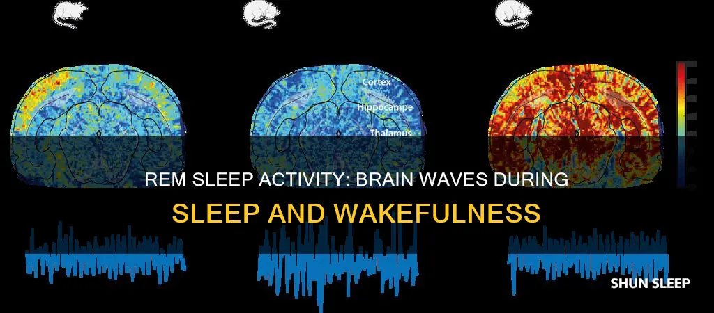 does rem sleep activity look like wakefulness