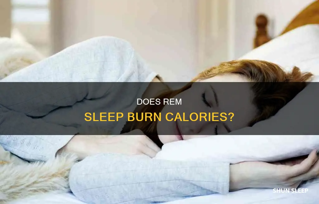 does rem sleep burn a lot of calories