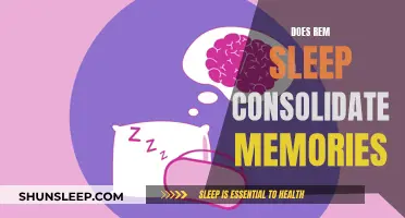 REM Sleep: Memory Consolidation and Enhancement