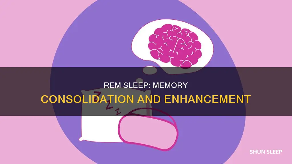 does rem sleep consolidate memories