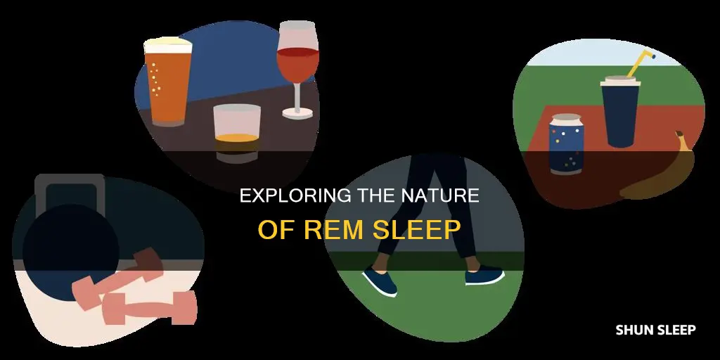 does rem sleep decrease relative to the other stages