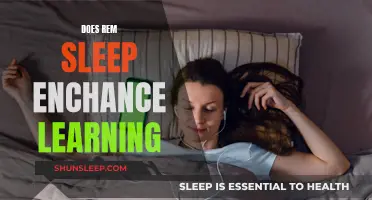 REM Sleep: The Learning Enhancer?