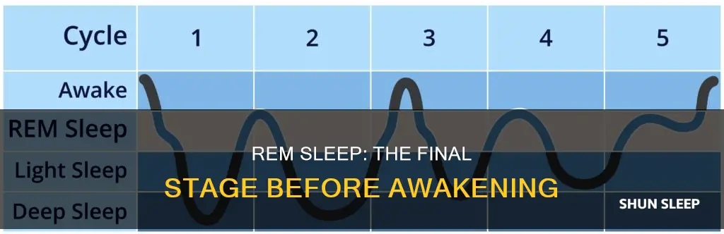 does rem sleep happen before you wake up