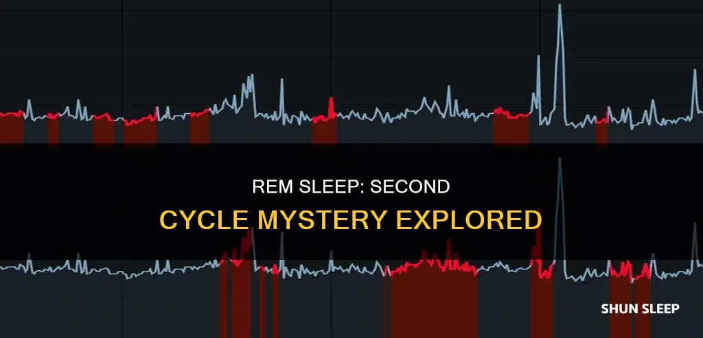 does rem sleep happen in the 2nd round of ccycle