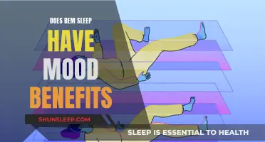 REM Sleep: A Natural Mood Enhancer?