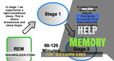 REM Sleep's Role in Enhancing Memory and Cognitive Function