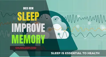 REM Sleep: The Memory-Boosting Superpower?