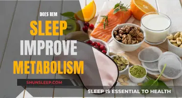 REM Sleep: A Metabolism Booster?