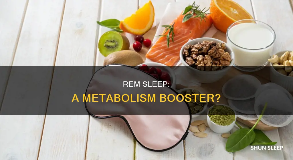 does rem sleep improve metabolism