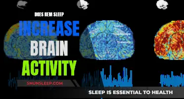 Brain Activity and REM Sleep: A Complex Relationship