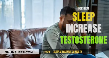 REM Sleep's Testosterone Boost: Fact or Fiction?