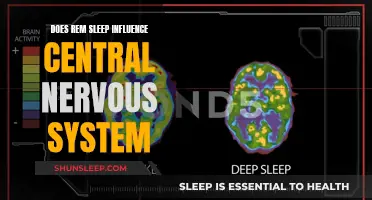 REM Sleep: A Window to the Central Nervous System