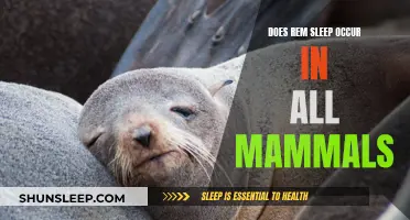 REM Sleep: A Universal Mammalian Trait?