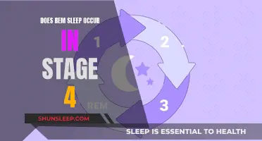 REM Sleep and Stage 4: Are They Connected?