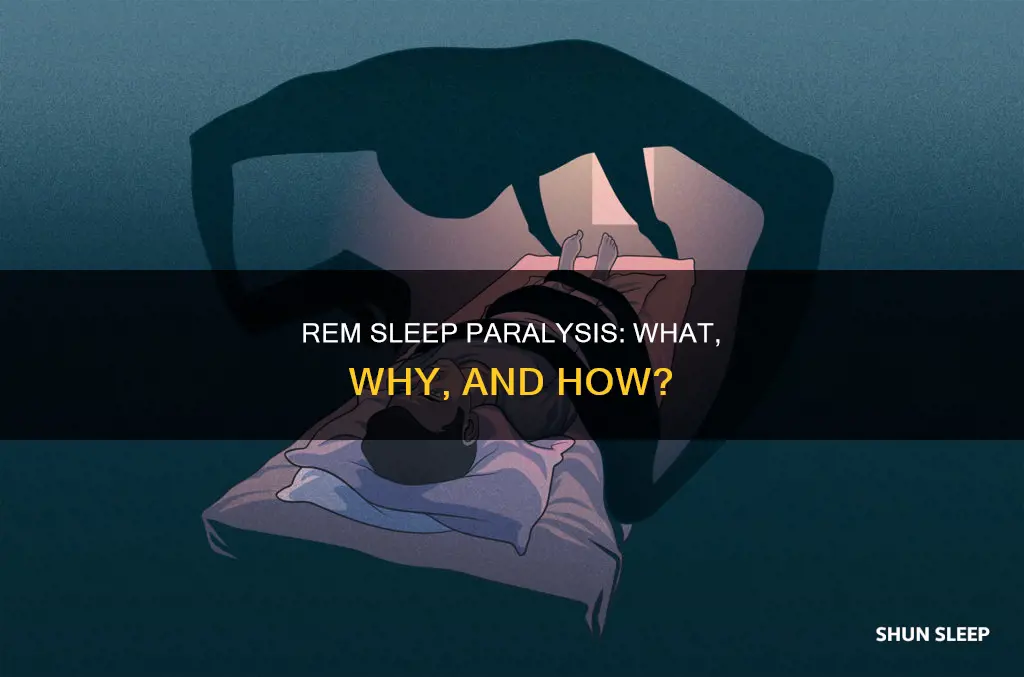 does rem sleep paralyze you