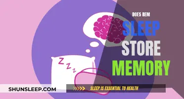 REM Sleep: Memory Storage and Consolidation