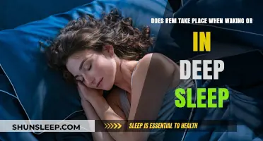REM Sleep: Deep Sleep or Waking State?