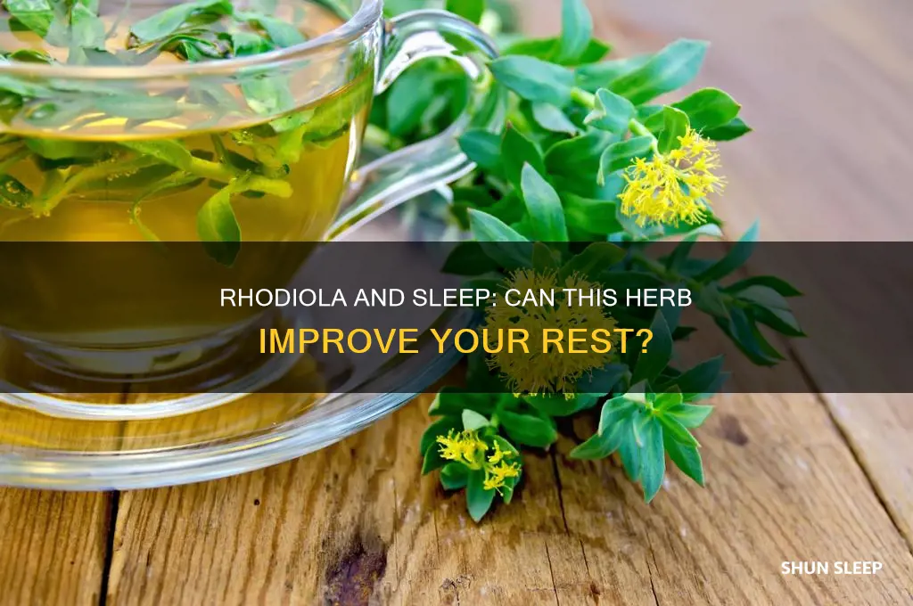 does rhodiola help with sleep