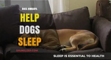 Rimadyl for Dogs: Enhancing Sleep Quality and Comfort Explained