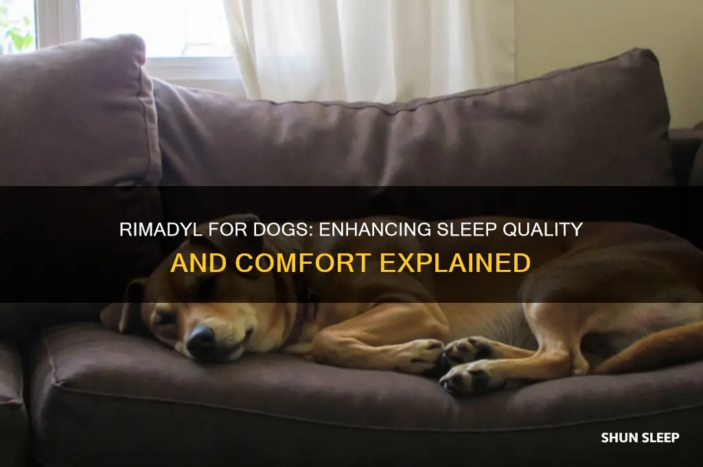 does rimadyl help dogs sleep