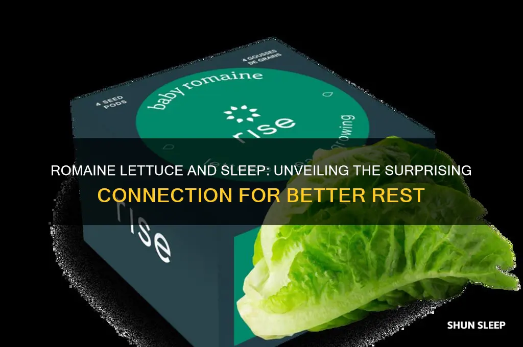 does romaine lettuce help you sleep