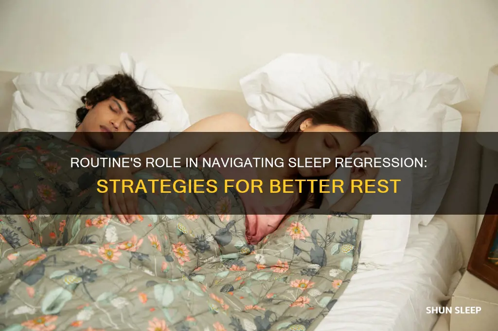 does routine help during sleep regression