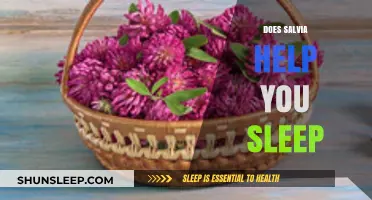 Can Salvia Improve Sleep Quality? Exploring Its Potential Benefits