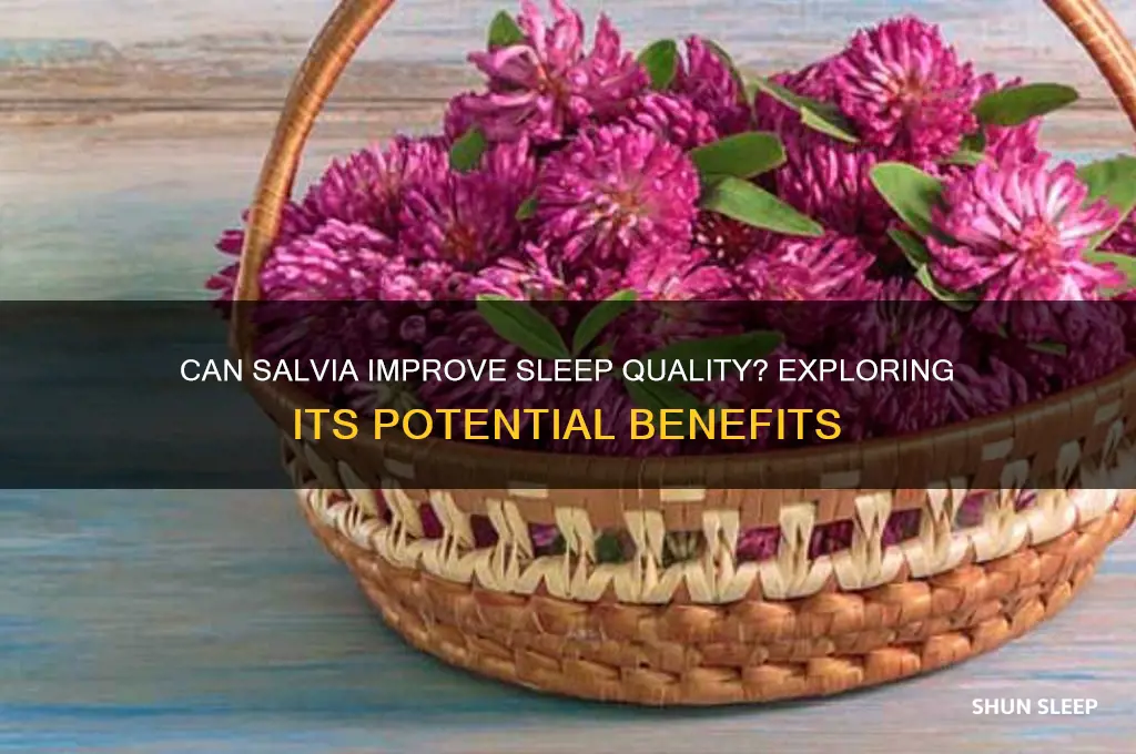 does salvia help you sleep