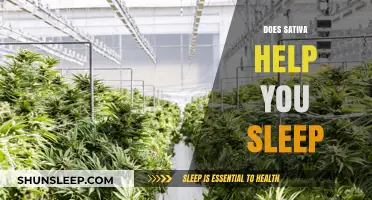 Sativa for Sleep: Can It Help You Rest Better?