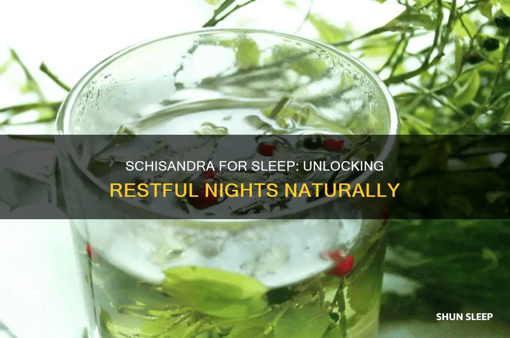 does schisandra help you sleep