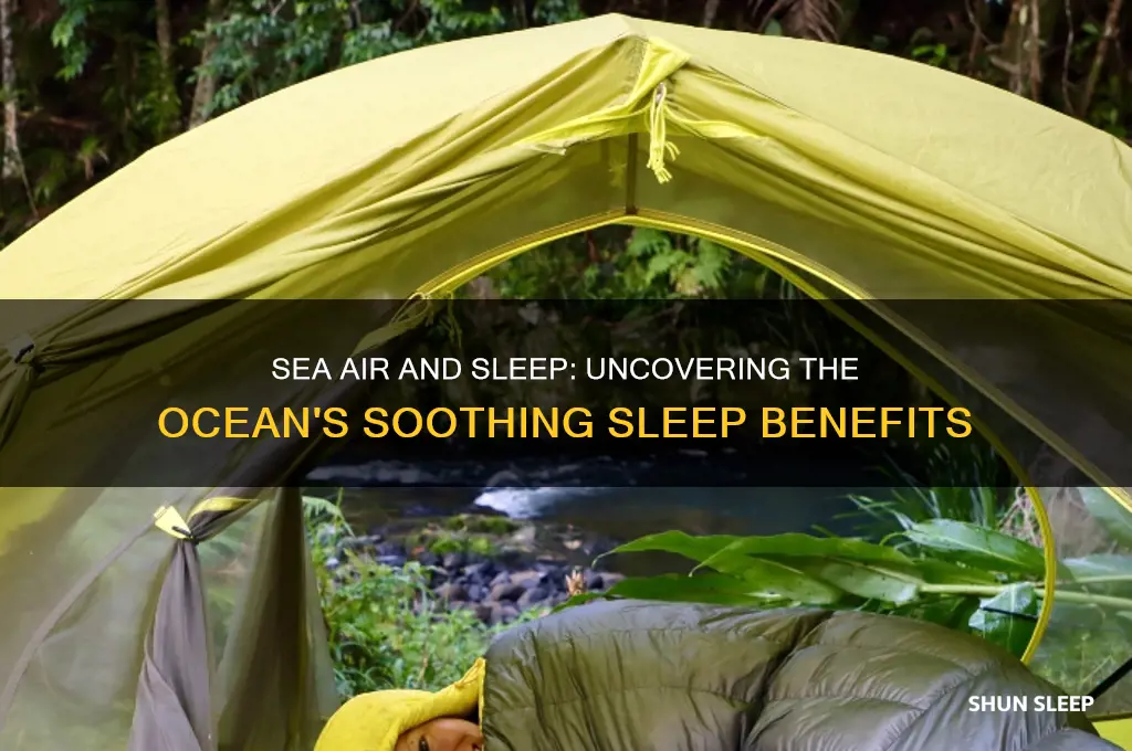 does sea air help you sleep