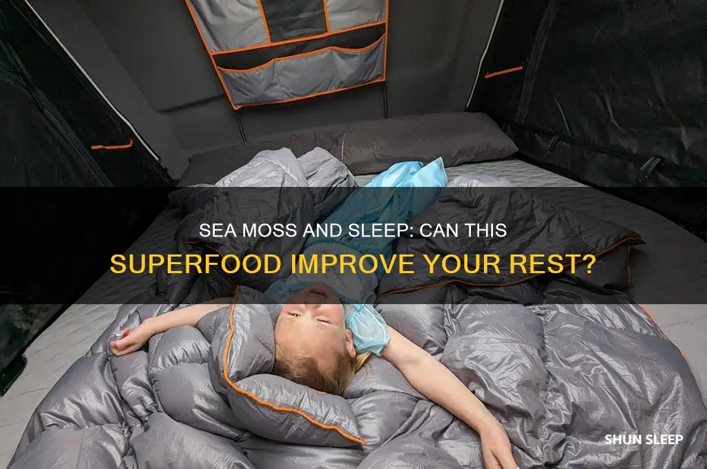 does sea moss help with sleep