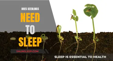 Seedlings' Sleep: What Do They Need to Grow?