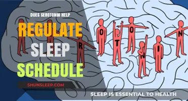 Serotonin's Role in Regulating Sleep Schedules: Unlocking Restful Nights