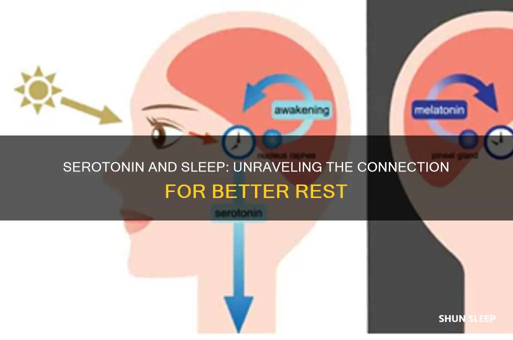 does serotonin help you sleep