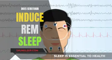 Serotonin's Role in REM Sleep: A Complex Relationship