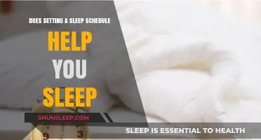 Can a Consistent Sleep Schedule Improve Your Rest Quality?