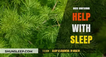 Shatavari for Sleep: Natural Remedy or Myth? Explore the Benefits
