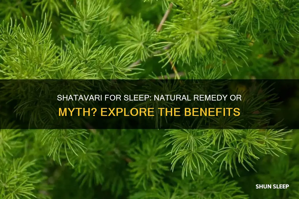does shatavari help with sleep