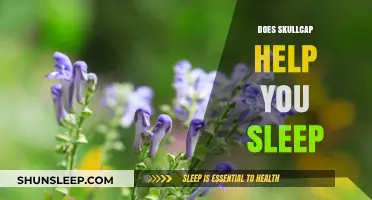 Skullcap for Sleep: Natural Remedy or Myth? Unveiling the Truth