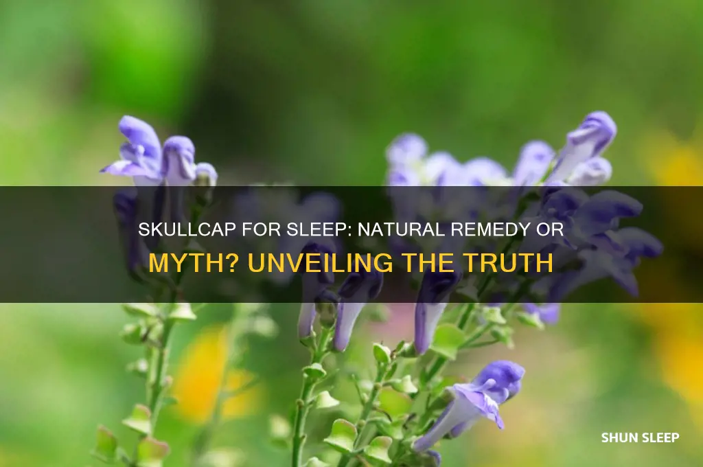 does skullcap help you sleep