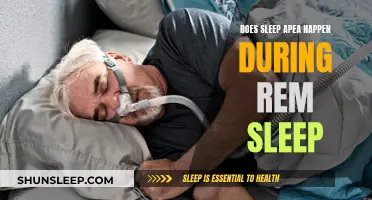 Sleep Apnea and REM: What's the Connection?