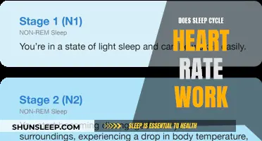 Sleep Cycle Heart Rate: Does It Really Work?