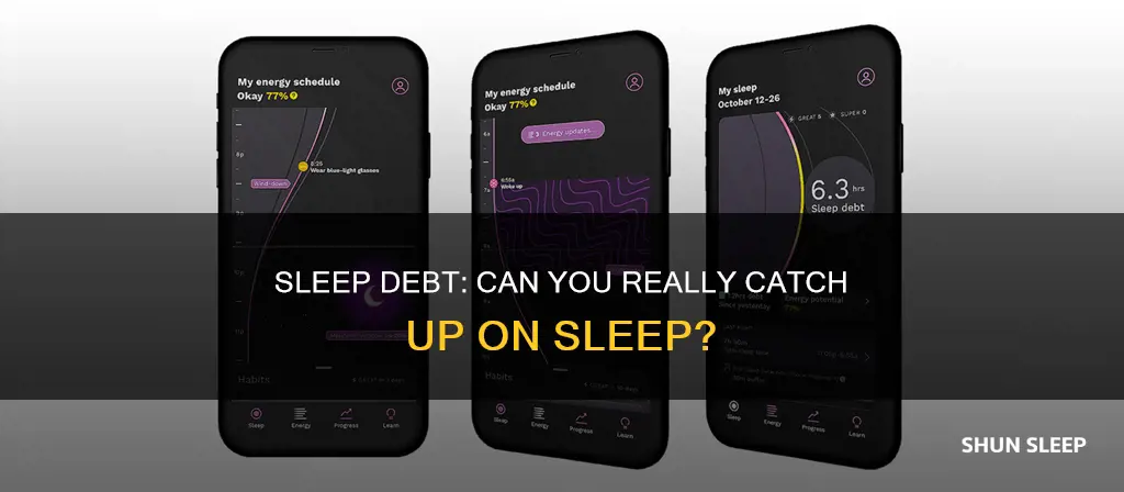 does sleep debt really work