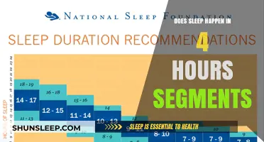 Unraveling the Mystery: Can We Really Sleep in 4-Hour Segments?
