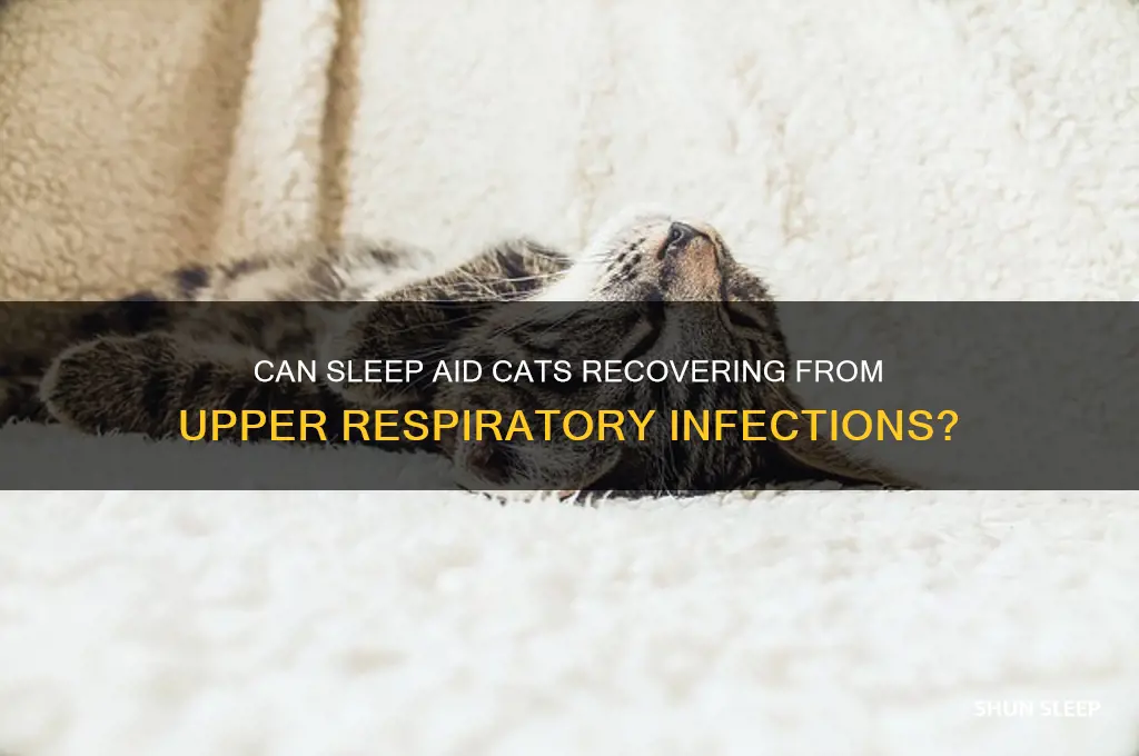 does sleep help a cat with a uri