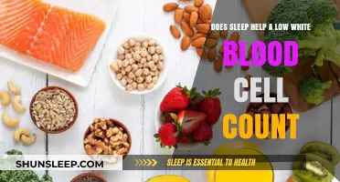Boosting Immunity: Can Quality Sleep Increase Low White Blood Cell Counts?