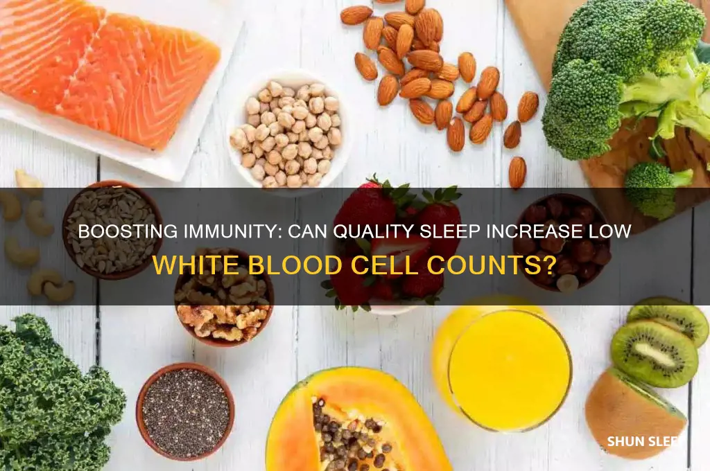 does sleep help a low white blood cell count