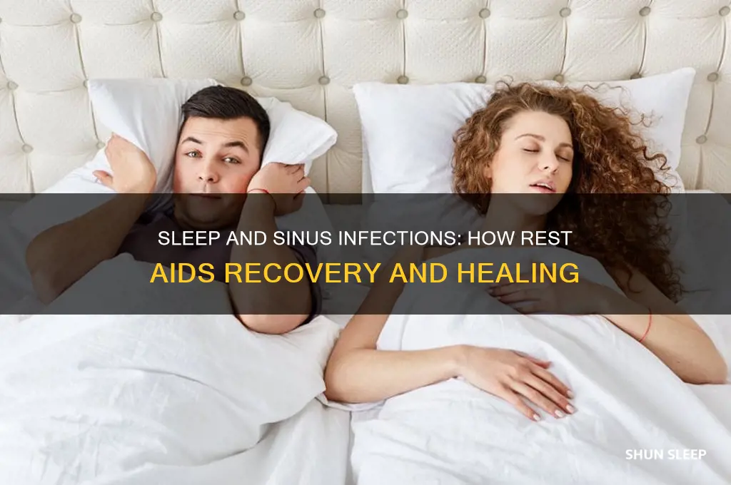 does sleep help a sinus infection